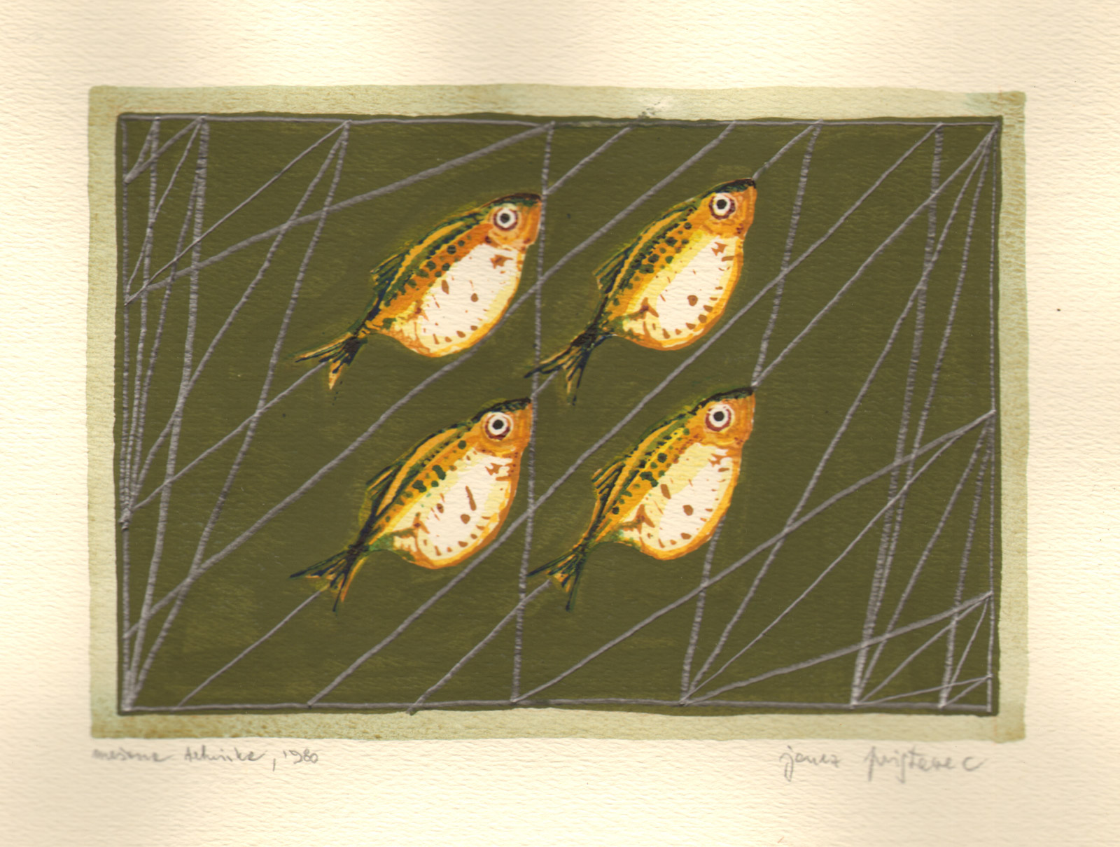 1980_mesana_tehnika_ribe_A4_17